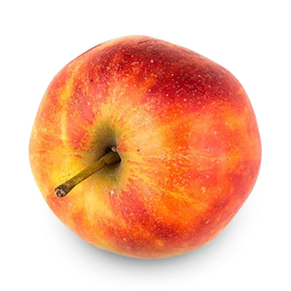 Apfel Elstar von Manss Frischeservice