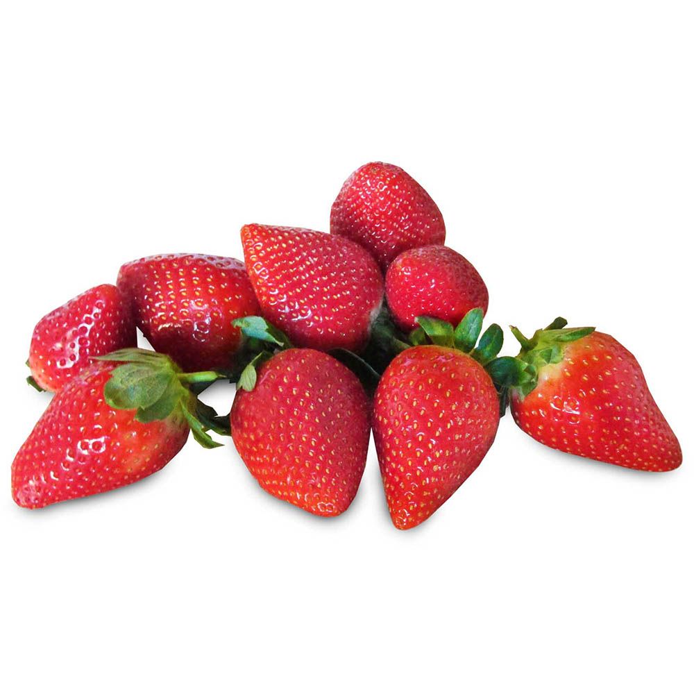 Erdbeeren Schale von Manss Frischeservice